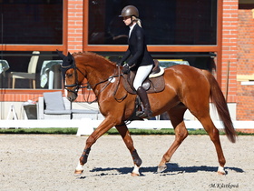 Gudrun von Schargaun